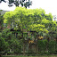 SH_Expo_0182.JPG