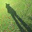 Shadow!
