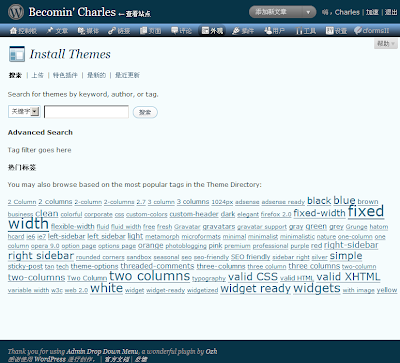 WordPress Install theme