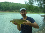 Sig.ra Carpa Regina al Lago di S.Giuliano (MT)