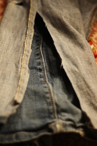 [IMG_4505_4223[4].jpg]