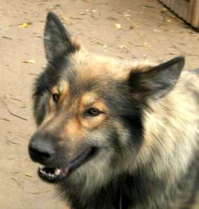 ramon