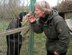 Pia&Wolt