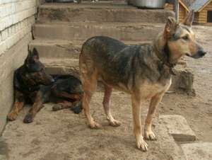 Nur&Perla