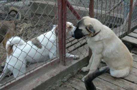 pola&tytus