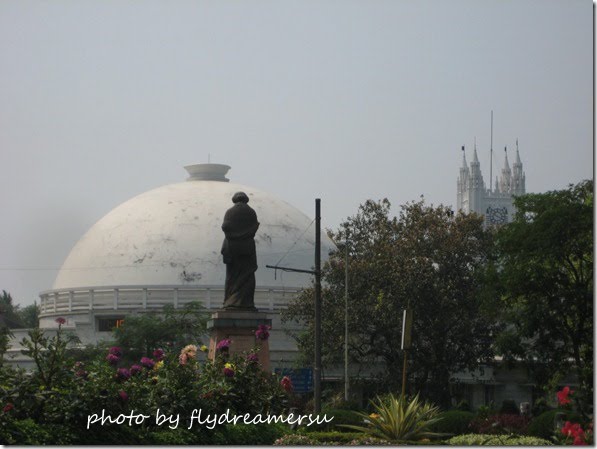 IMG_5139 IMG_5139