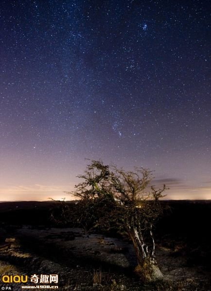 [110115151328503[2].jpg]