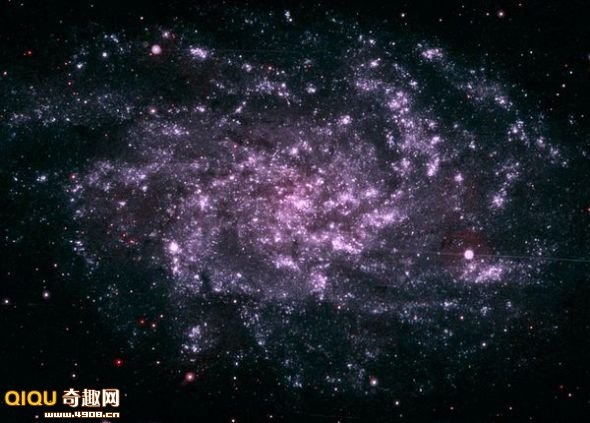 [110118151870355[2].jpg]