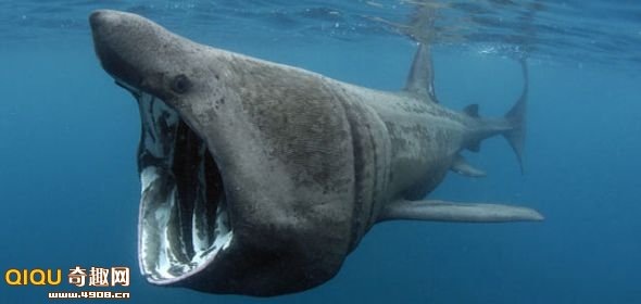 [110119145644221[2].jpg]