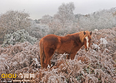 [101228135668771.png]