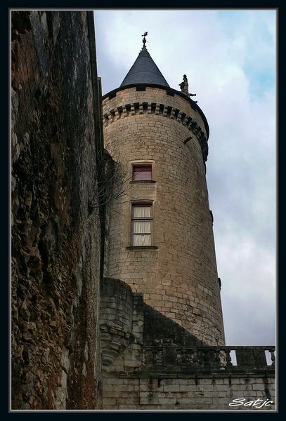 Le Château de La Rochefoucauld apres la tempête (Charente) P1060152a
