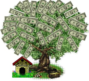 01-money_tree
