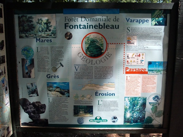 [panneaux forêt (2) (1024x768)[2].jpg]