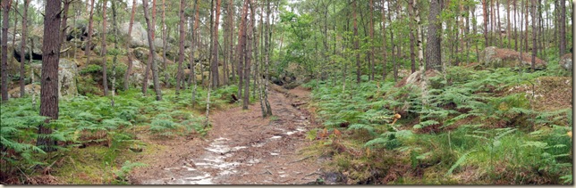 route de la Solitude_large route de la Solitude_large