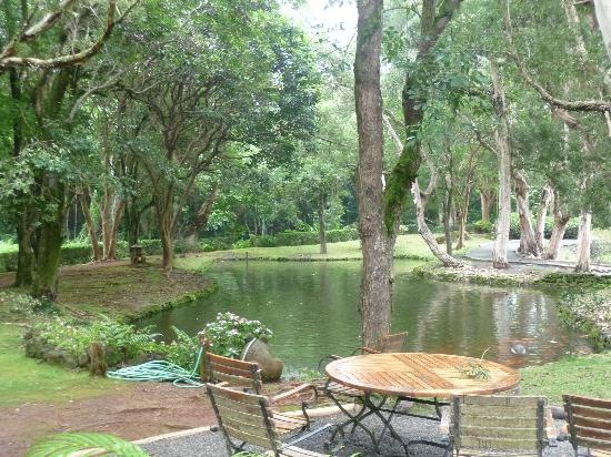 [grounds-of-byodo-in[4].jpg]