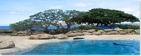 waimanalo
