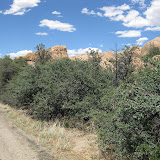 IMG_0156.JPG