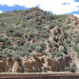 IMG_0164.JPG