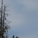 IMG_0492.JPG