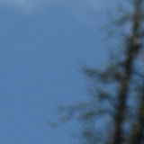 IMG_0493.JPG