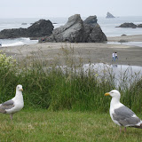 IMG_0536.JPG