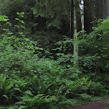 IMG_0566.JPG