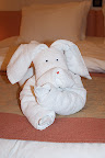 DSC03811.jpg