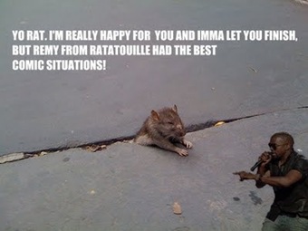 rat 1