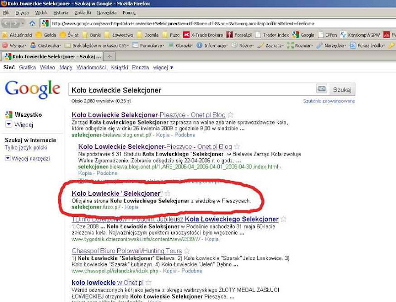 Wyniki wyszukiwania google