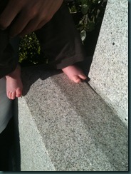 IMG_0135 IMG_0135