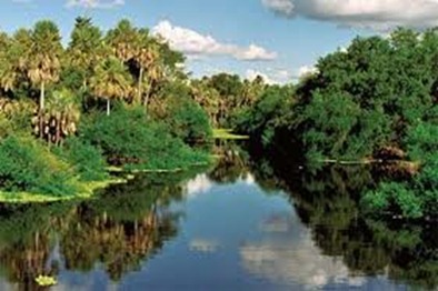 Paraguay River 2