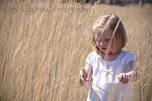[BLOGJul272009_0033[3].jpg]