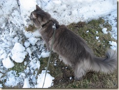 IMG_8177 IMG_8177