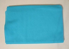 turquoise-ribbing