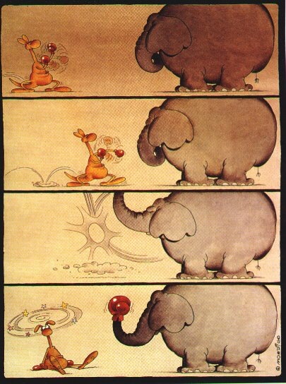 mordillo  (4)