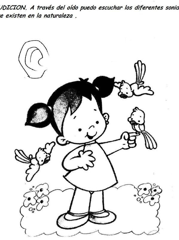 [jugarcinco sentidos (3)[3].jpg]