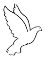 palomas paz (31)