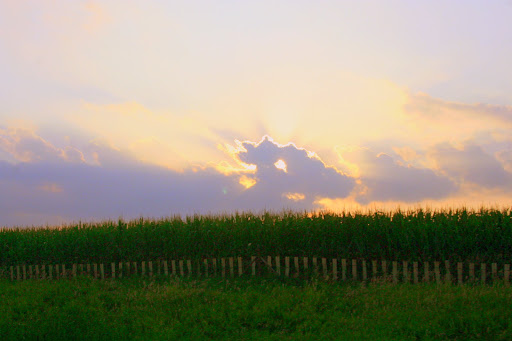 Illinois Countryside