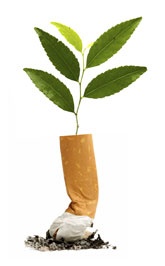 coluna zero, meio ambiente, consumo consciente, zero utopia, cigarro semente, greenwashing