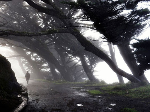 bruno rezende, coluna zero, fotografia, photo, foto, Photo fo the Day, natgeo, national geographic