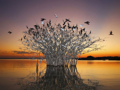 bruno rezende, coluna zero, fotografia, photo, foto, Photo fo the Day, natgeo, national geographic