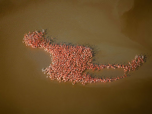 bruno rezende, coluna zero, fotografia, photo, foto, Photo fo the Day, natgeo, national geographic