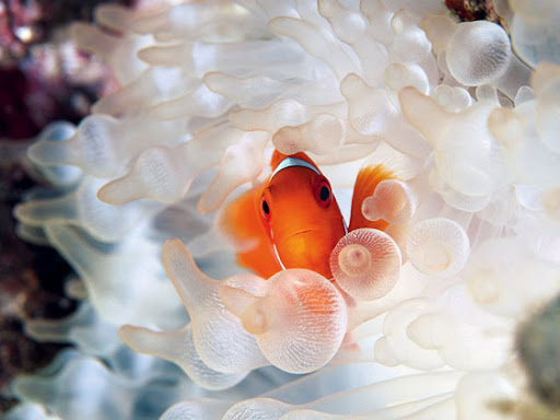 bruno rezende, coluna zero, fotografia, photo, foto, Photo fo the Day, natgeo, national geographic