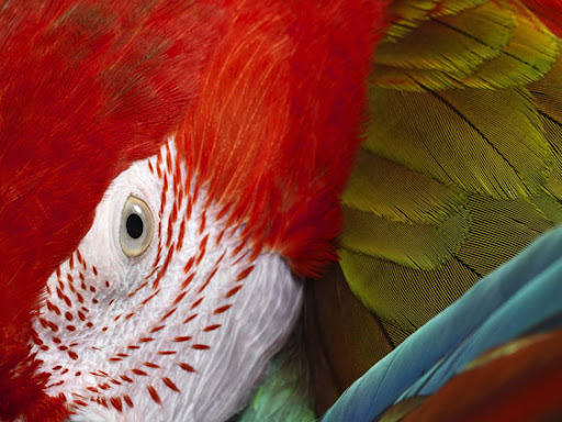 bruno rezende, coluna zero, fotografia, photo, foto, Photo fo the Day, natgeo, national geographic