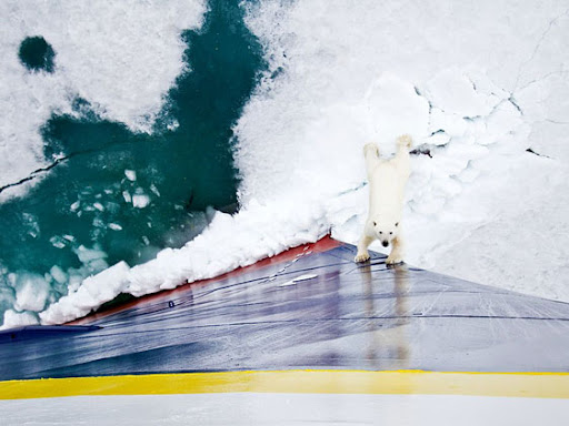 bruno rezende, coluna zero, fotografia, photo, foto, Photo fo the Day, natgeo, national geographic
