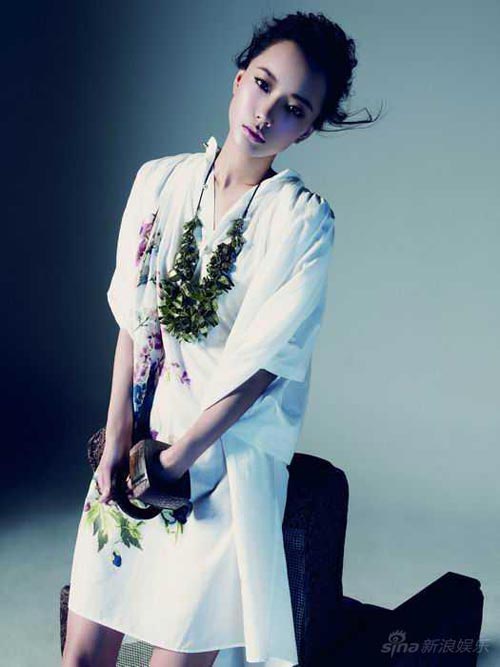 Wang Luo Dan
