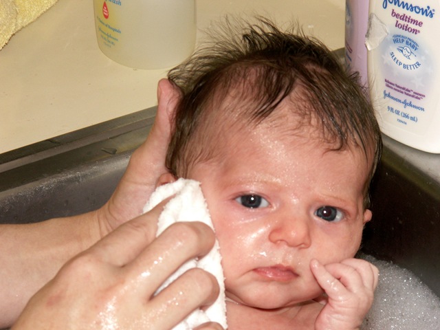 [PICT0009[8].jpg]