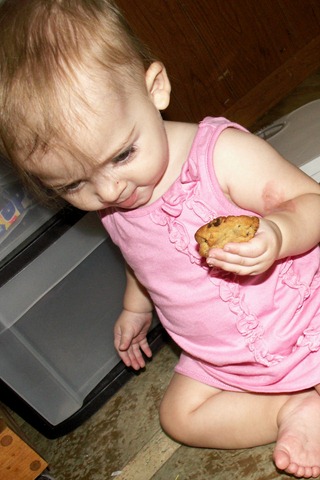 [Elaine 9 months chocolate chip cookie dunk[3].jpg]