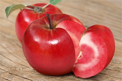 apple-red-flesh-590 1.jpg apple-red-flesh-590 1.jpg