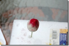 sugarpasterose 012 sugarpasterose 012